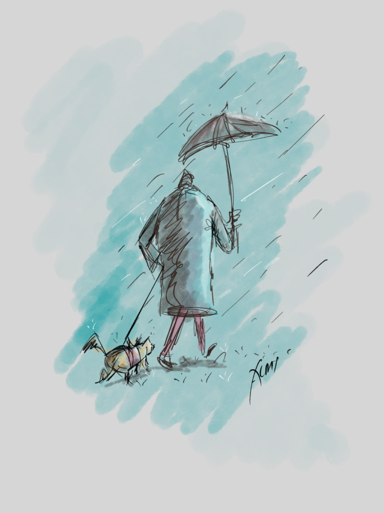 Rainy day