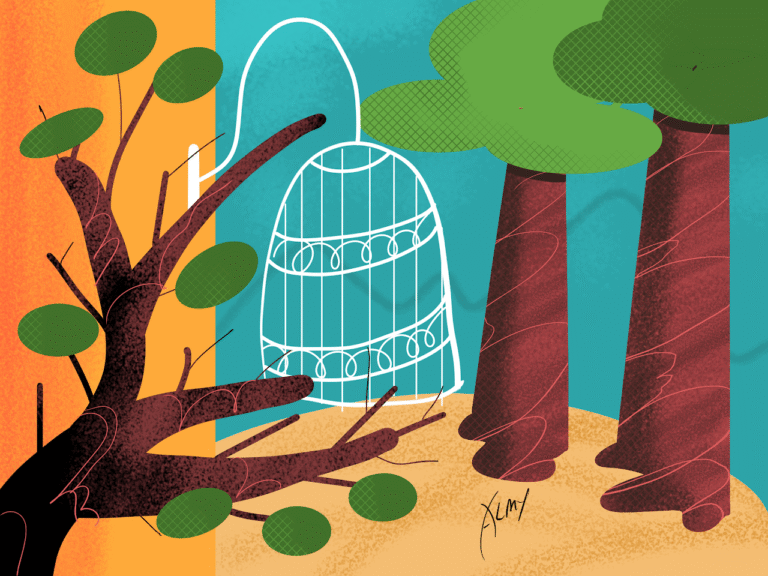 The cage