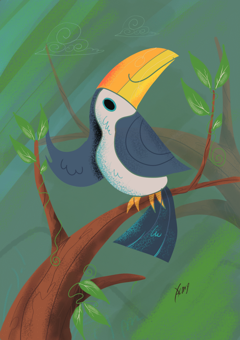 O tucano e suas lindas cores